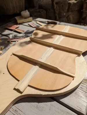 Custom Gitarrenbau