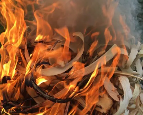 Feuer